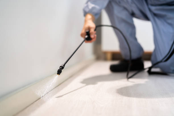 Professional exterminator conducting IPM assessment in Ladera Ranch